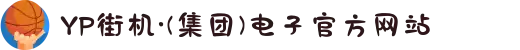 YP街机·(集团)电子官方网站